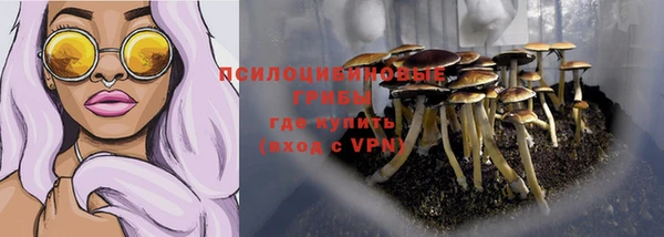 герыч Арсеньев