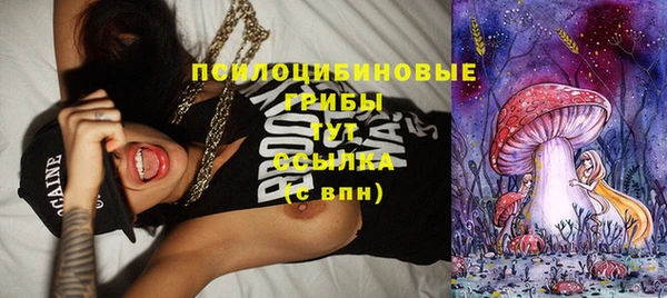 ГАЛЛЮЦИНОГЕННЫЕ ГРИБЫ Балахна