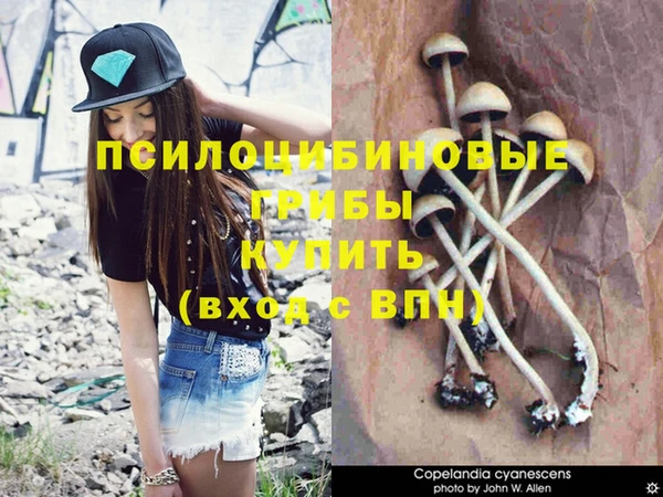 не бодяженный Армянск