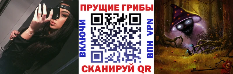 mega ссылки  Пушкино  Галлюциногенные грибы MAGIC MUSHROOMS 